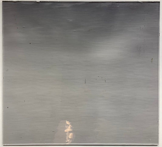 Oceanside Clear Grey Water Glass