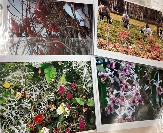 Cards by Chris Johnston