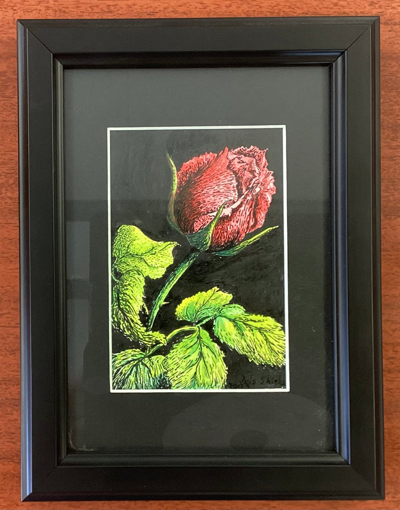 Rose Ink drawing by Iris