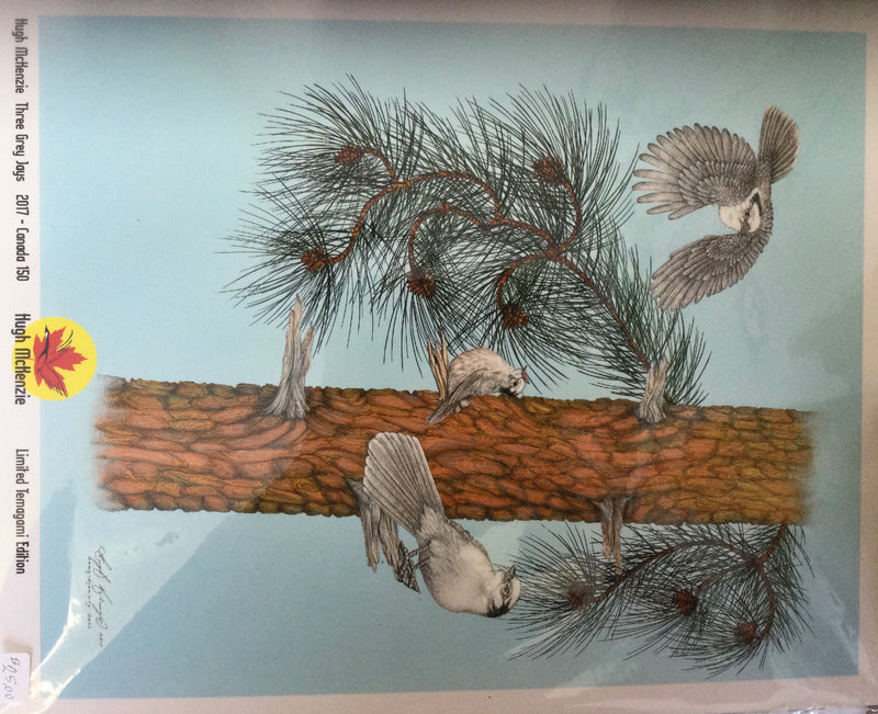 Three gray jays 11”x14”