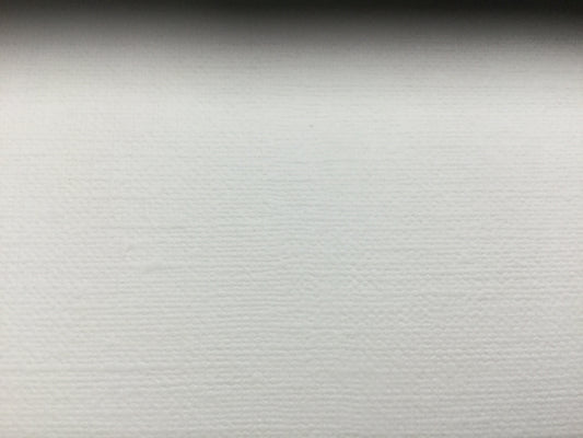 Canson oil & acrylic 136lb 5.5x8.5in