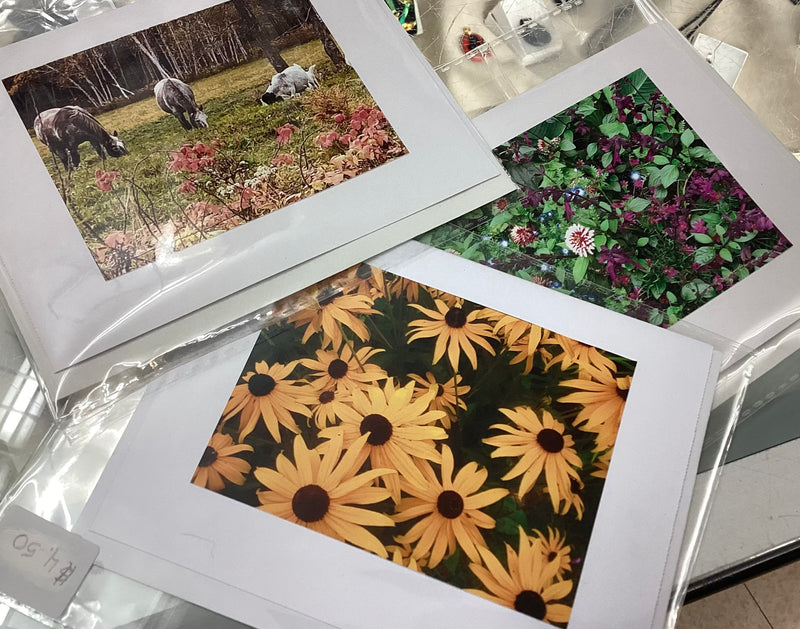 Cards by Chris Johnston