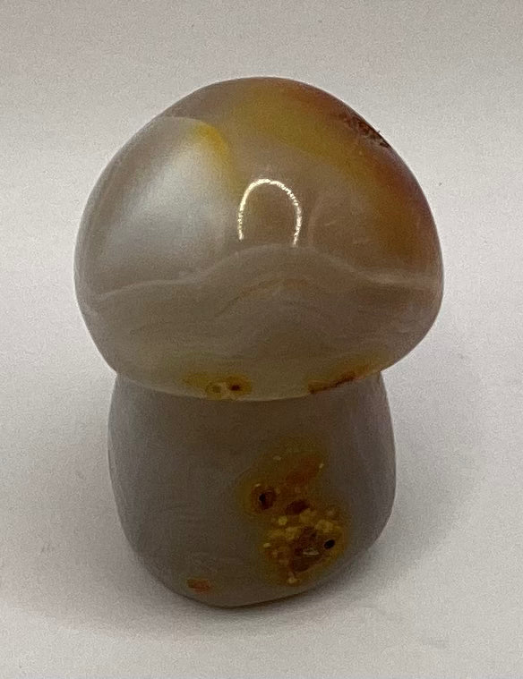Mixed Jasper Agate Mushroom