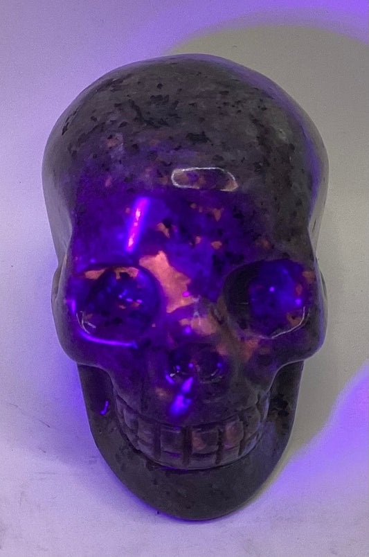 Yooperlite Skull