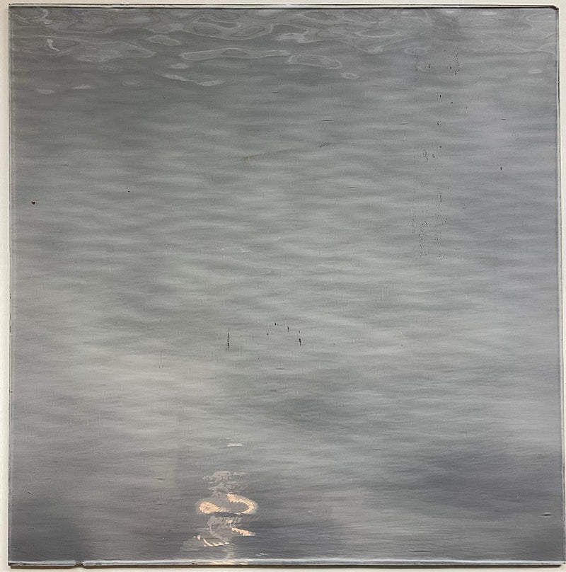 Oceanside Clear Grey Water Glass