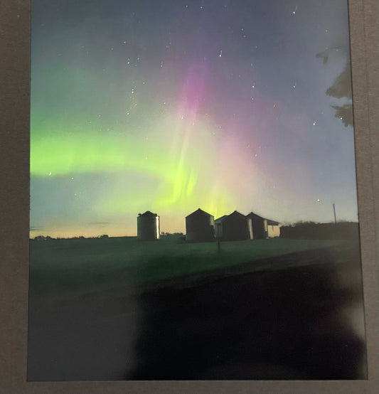 Photography by Mike Potter