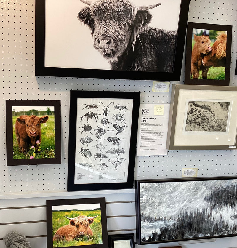 8x10 photo by Bethany Bliss Photography