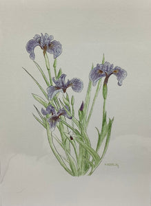 Iris card by Hank Moorlag