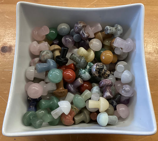 Mini Mushroom Carvings