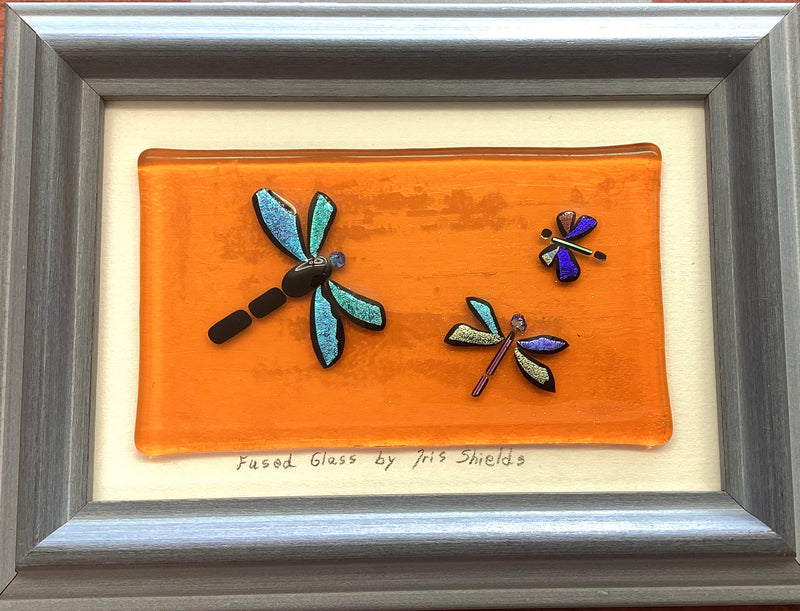 Dragon Flies by Iris