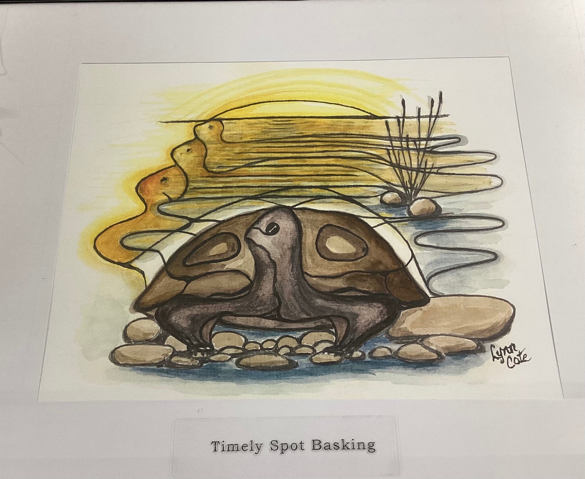 “Timely Spot Basking” 8x10 print by Lynn Cote