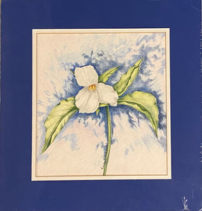 Trillium