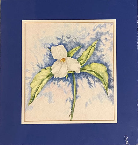 Trillium