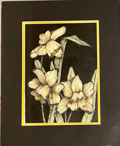 Daffodils