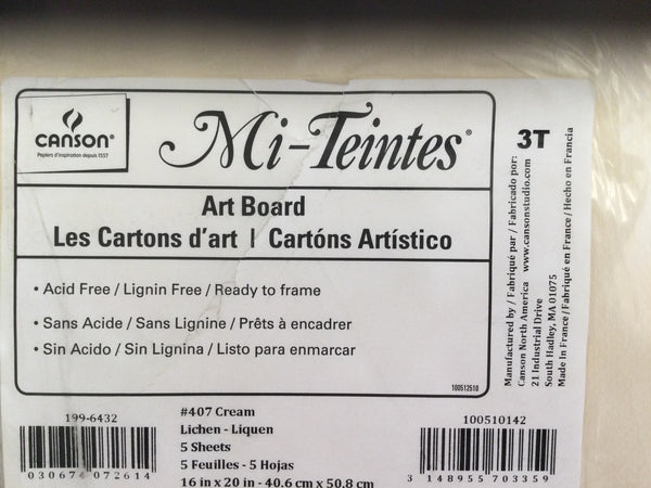 Canson Mi-Teintes Art Board 16”x20”
