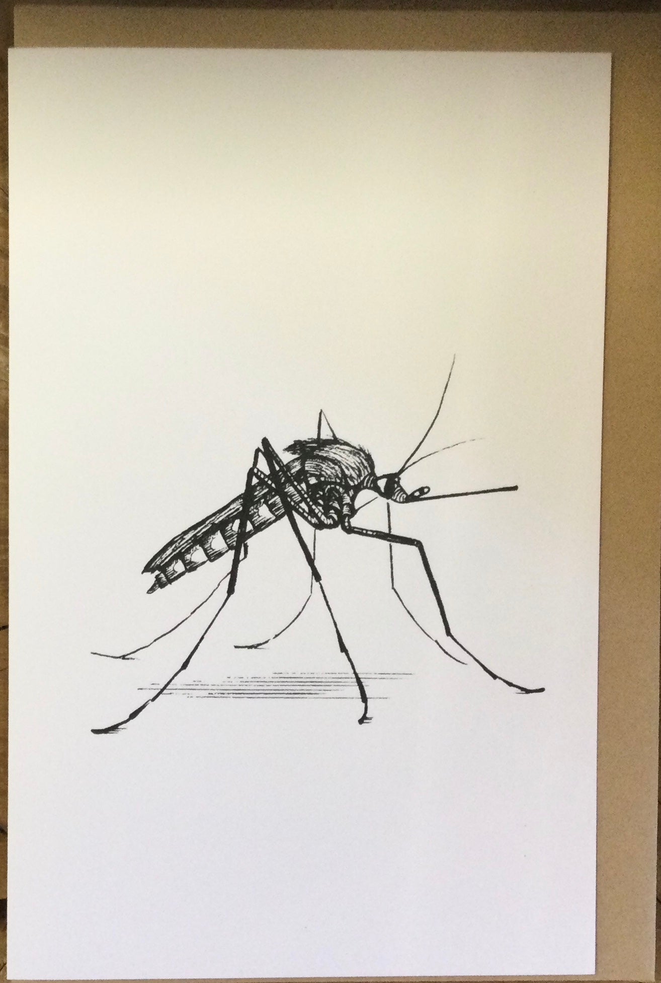 Mosquito card