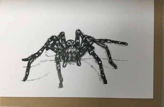 Dock Spider card