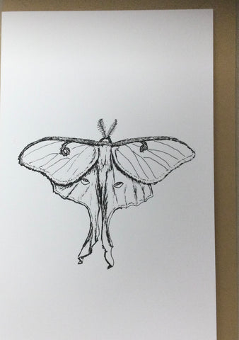 Luna Moth card