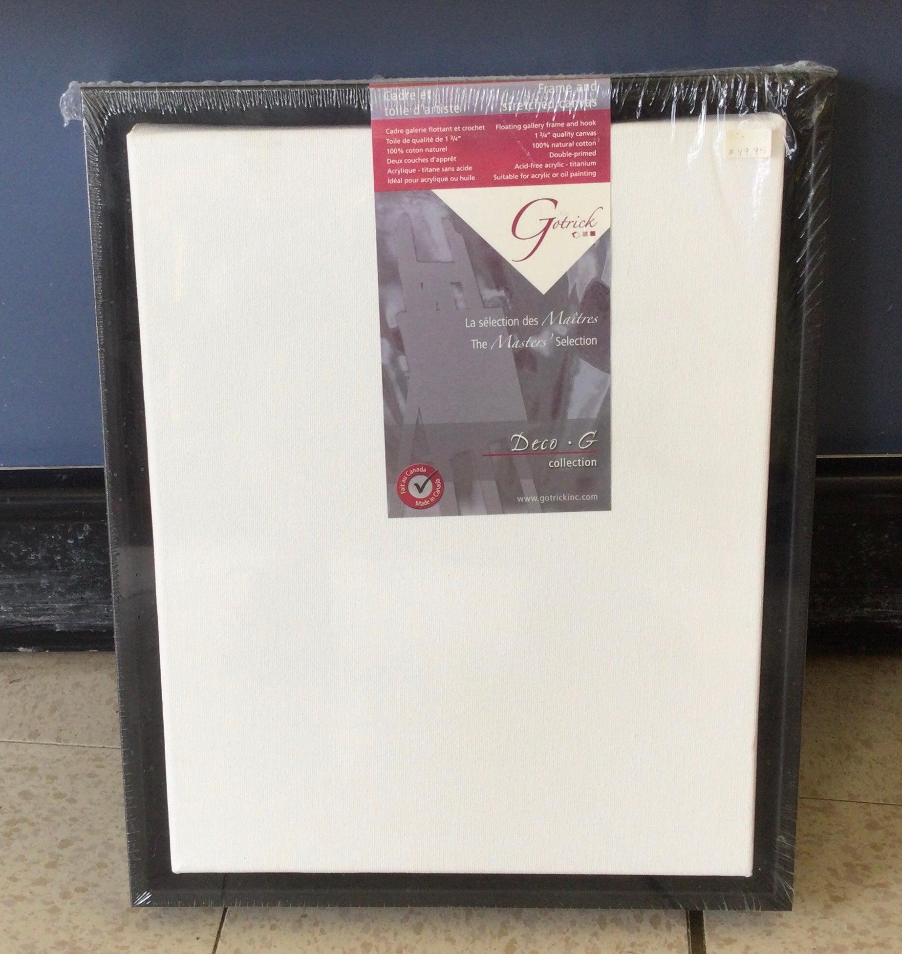 Apollon Gotrick - Stretched Gallery Canvas with Black Floater Frame set