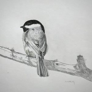 Chickadee Card
