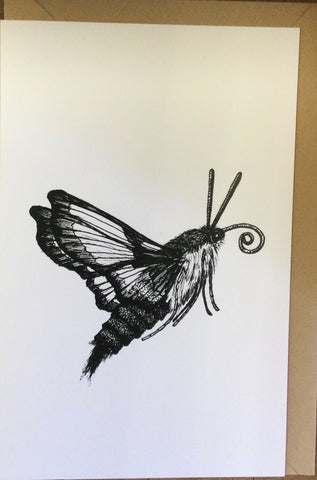 Hummingbird Moth card