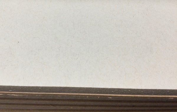 Strathmore Toned Tan Mixed Media pad 6x8”