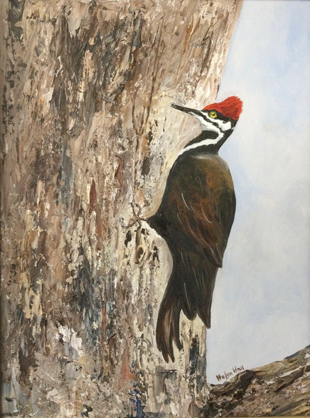 Pileated Woodpecker by Helen Hall