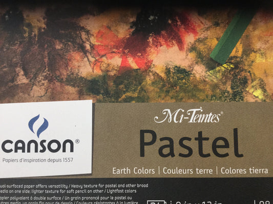 Canson - Mi-Teintes Pastel 98lb